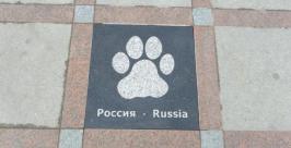 Российская тигриная лапа. Елизавета Олофинская