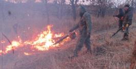 Пожары угрожают земле леопарда Пресс-служба Амурского филиала WWF России