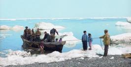 Морские зверобои http://news.km.ru/na_chukotke_propala_gruppa_morsk/print