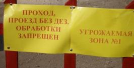Ветеринарная служба инсценировала вспышку африканской чумы свиней в Приморье Приморская ветеринарная служба