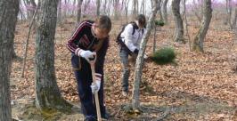 Настя Верхогляд и Татьяна Горох садят деревья Амурский филиал WWF