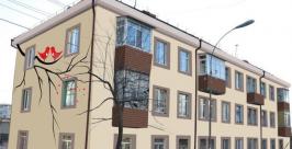 Снегири появятся на фасадах домов во Владивостоке Администрация Владивостока
