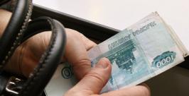 За взятку гаишникам жители Приморья приговорены к крупным штрафам ej.ru