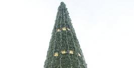 Елка на площади Благовещенска http://www.teleport2001.ru/images/news/2010/12/29/7411_1_20101229151321mk.jpg