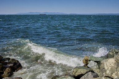 Первые результаты исследований морской среды Татарского пролива представят во Владивостоке ученые