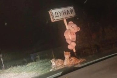 &quotПлюшевый патруль&quot телеграм-канал (16+) Newsfokino