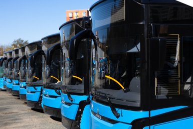 &quotСвежая кровь&quot для маршрутов: во Владивосток прибыли первые 24 новых автобуса МАЗ пресс-служба администрации Владивостока