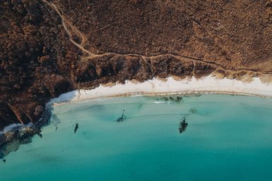 Дары заповедной бухты представит ZUMA на гастроужине "Море. История одного фермера"
