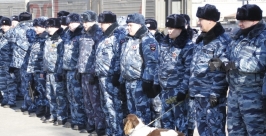 Полиция Пресс-служба УМВД России по Приморскому краю