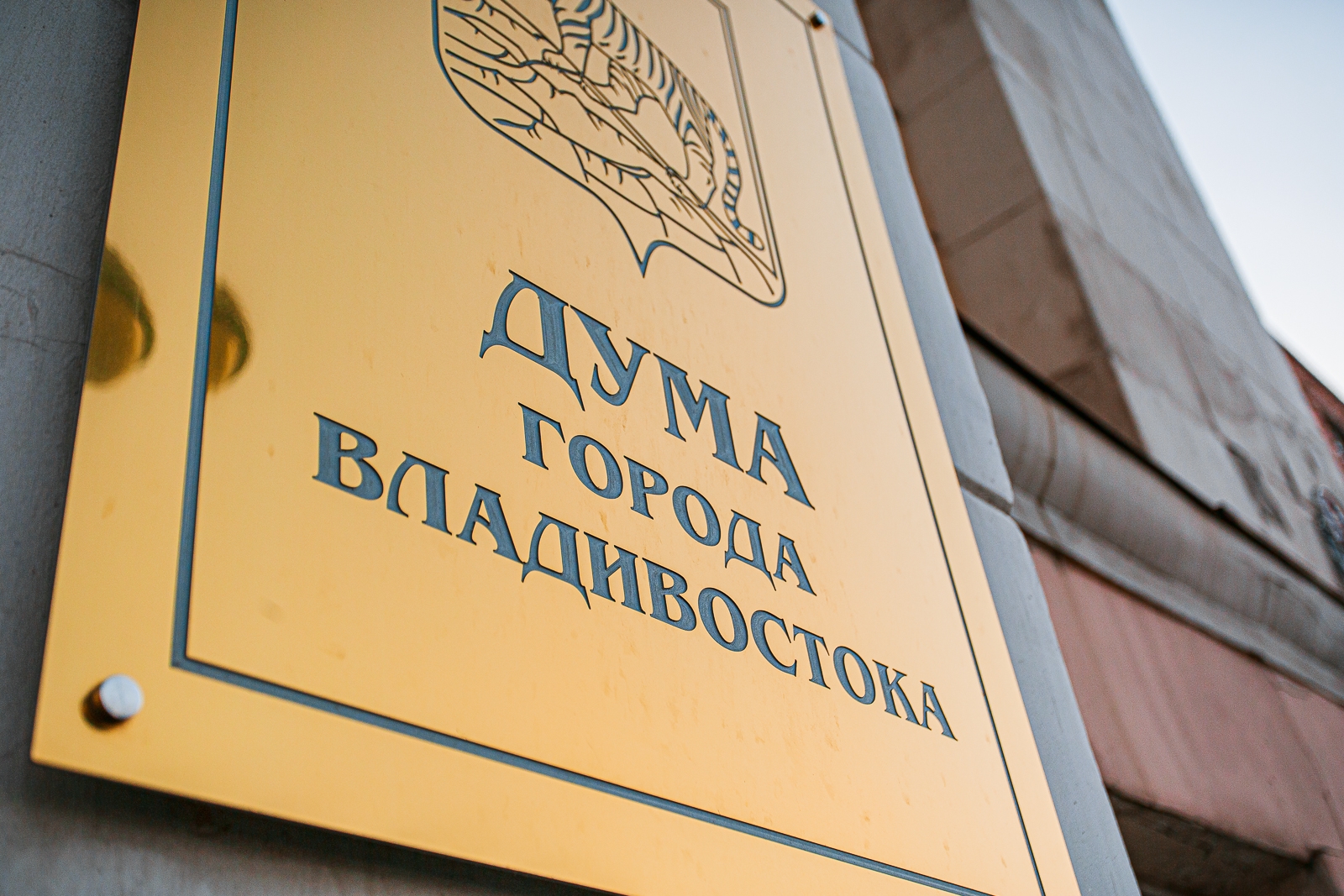 Дума города Владивостока Илья Аверьянов, ИА PrimaMedia